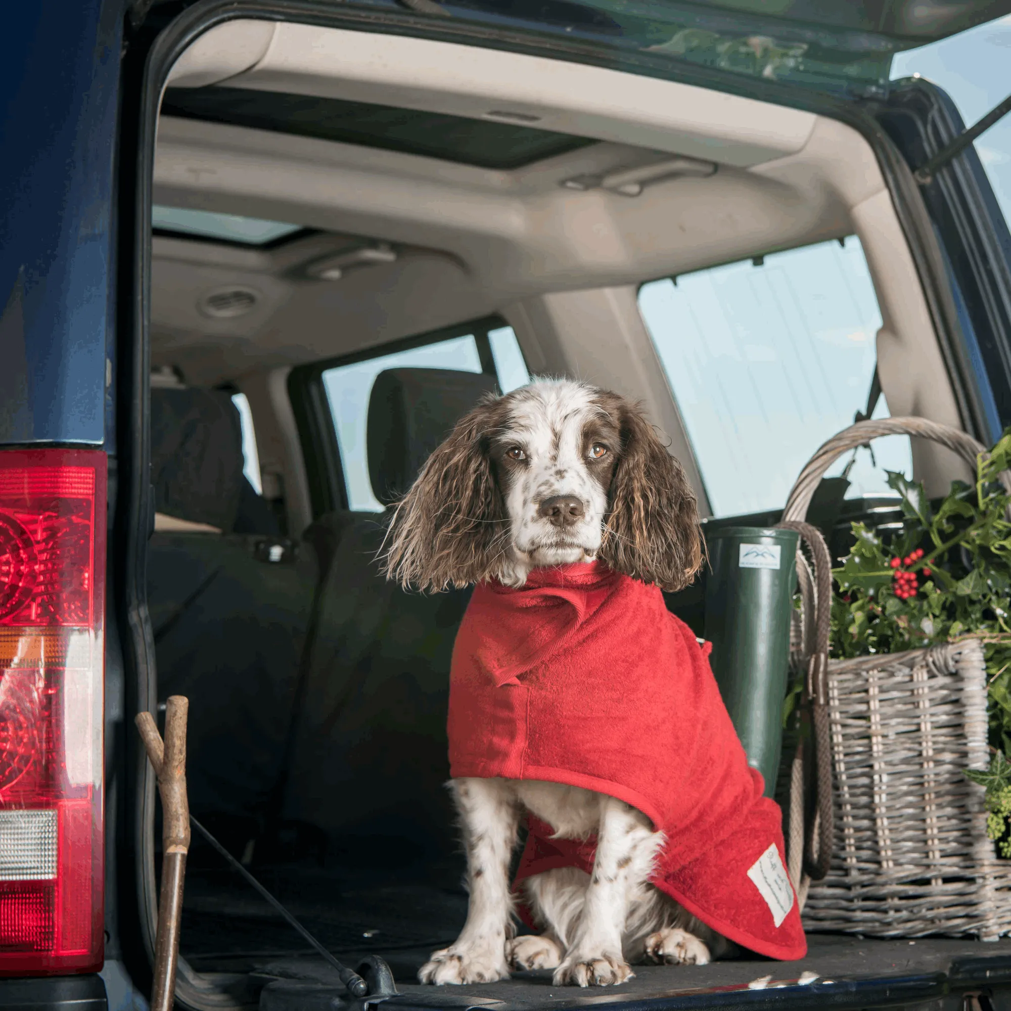 Dog Drying Coat - Classic Collection