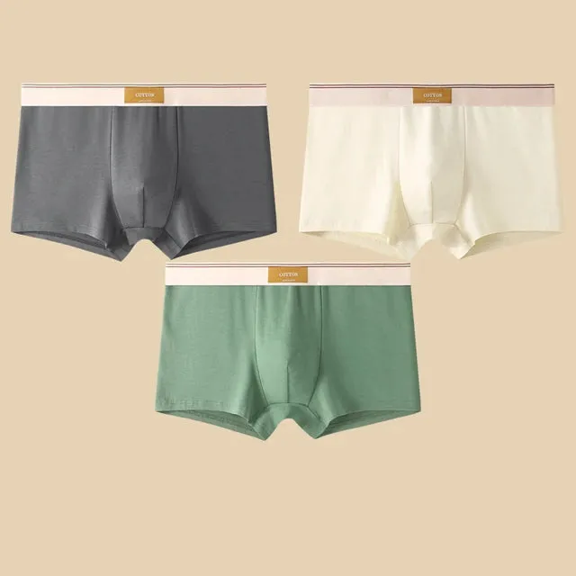 Men's Daily Comfortable Boxer