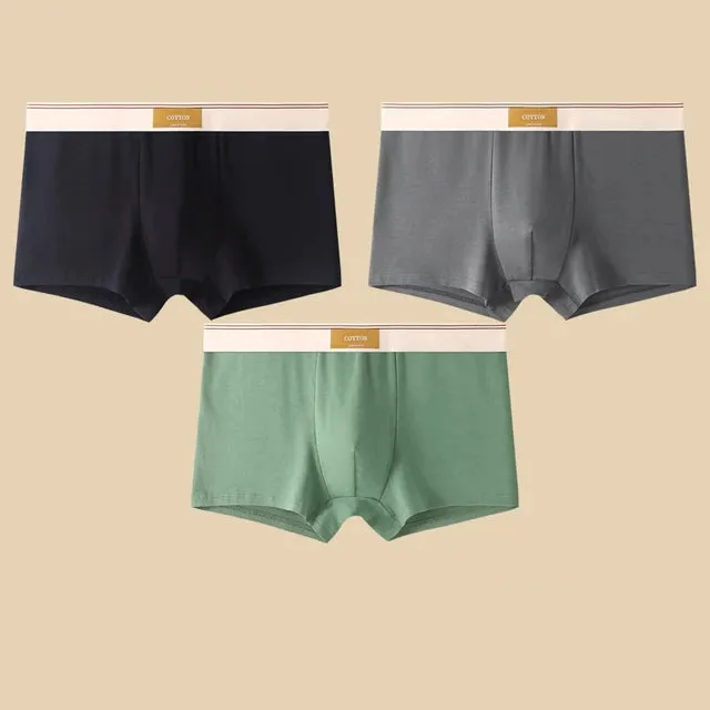 Men's Daily Comfortable Boxer