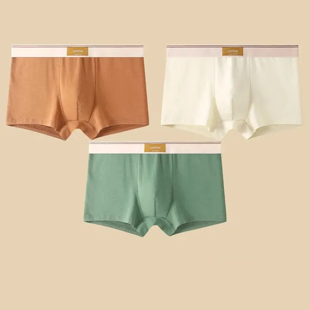 Men's Daily Comfortable Boxer