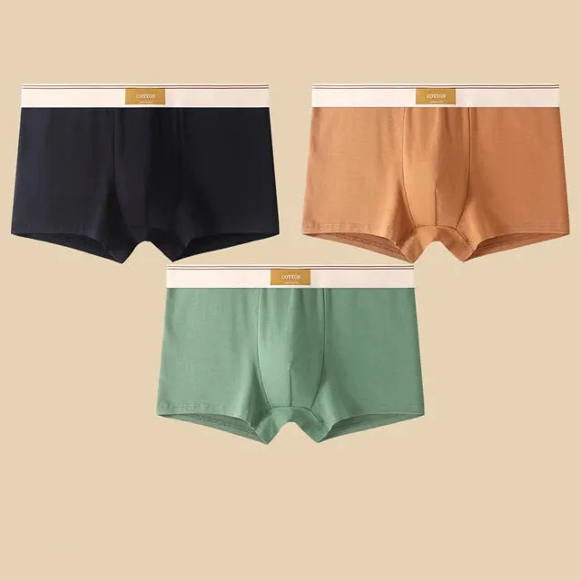 Men's Daily Comfortable Boxer