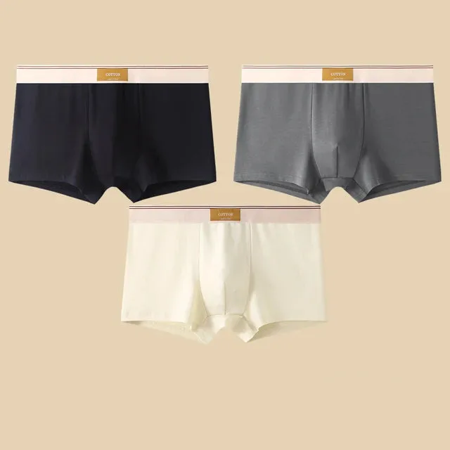 Men's Daily Comfortable Boxer