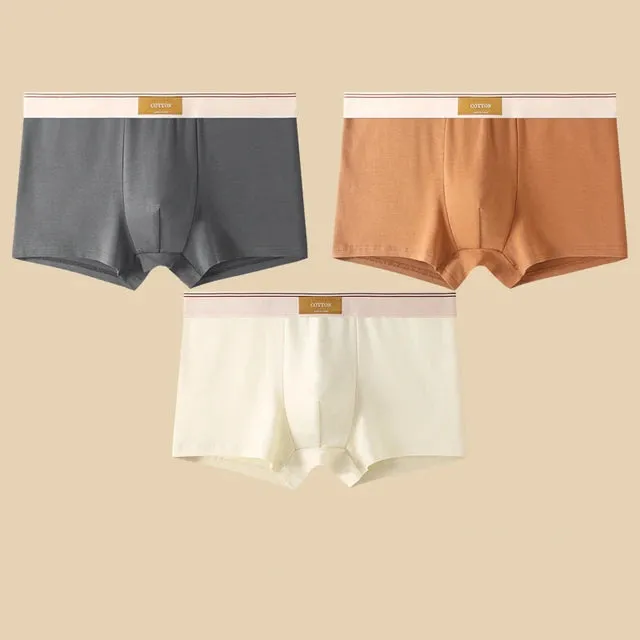 Men's Daily Comfortable Boxer