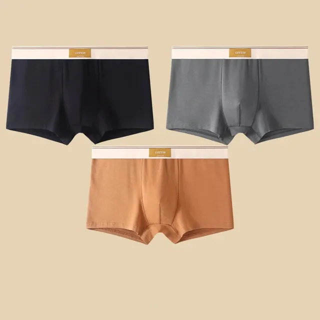 Men's Daily Comfortable Boxer