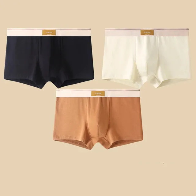 Men's Daily Comfortable Boxer