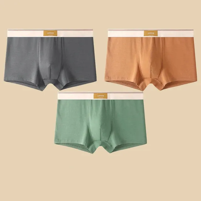 Men's Daily Comfortable Boxer