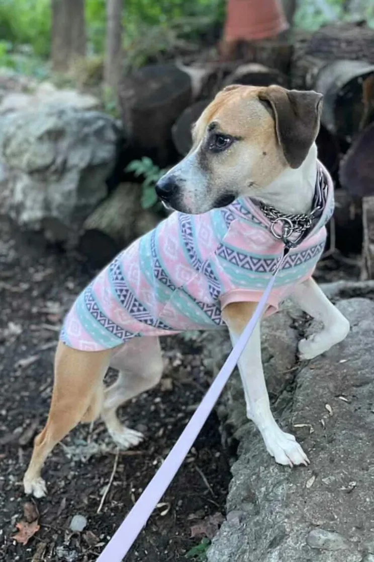 Pink Aztec Dog Sweater